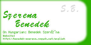 szerena benedek business card